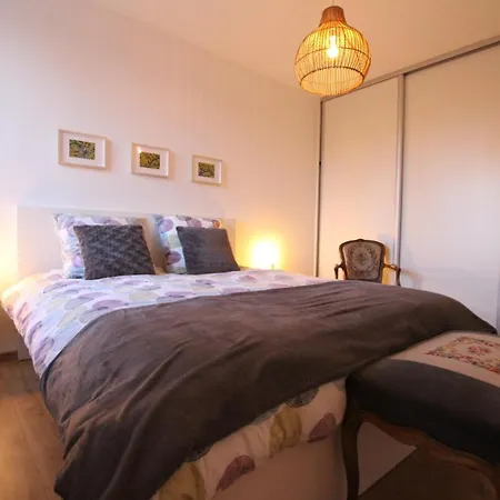 Center - Bright And Large Remparts Appartement Colmar